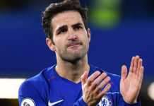 Chelsea Identify Cesc Fabregas Replacement