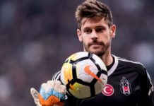 Fulham sign Besiktas goalkeeper Fabri