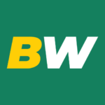 betwinner logo short bw